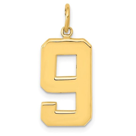 14k Yellow Gold, Athletic Collection, Large Polished Number 9 Pendant - Picture 1 of 5